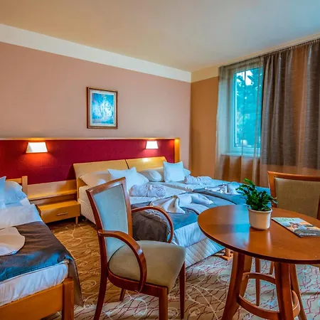 Dráva Thermal Hotel
