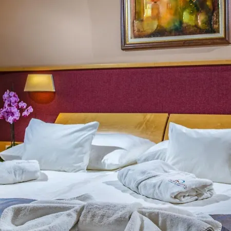 Dráva Thermal Hotel 4*