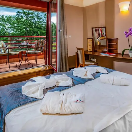 Drava Thermal Hotel 4*