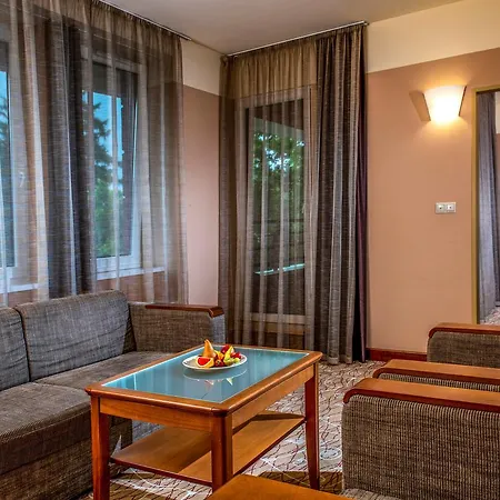 Hotel Drava Thermal 4*