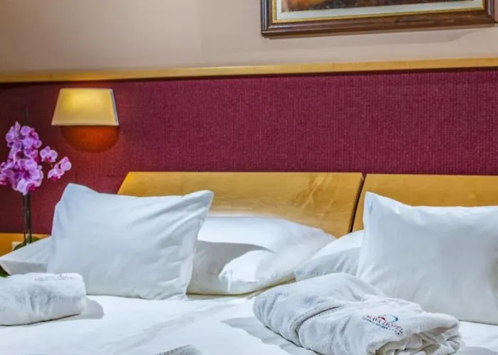 Drava Thermal Hotel 4*