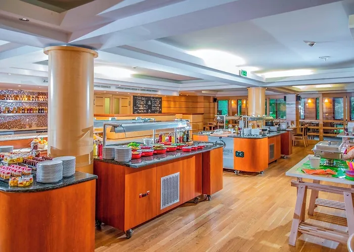 Drava Thermal Hotel 4*