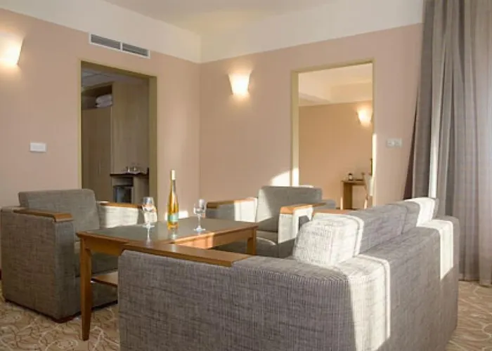 Hotel Drava Thermal 4*